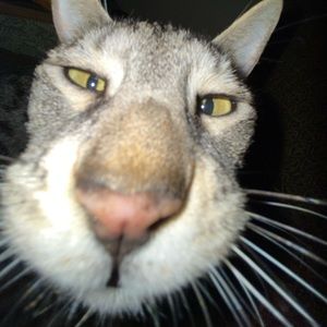 Meet your Posher, Jack